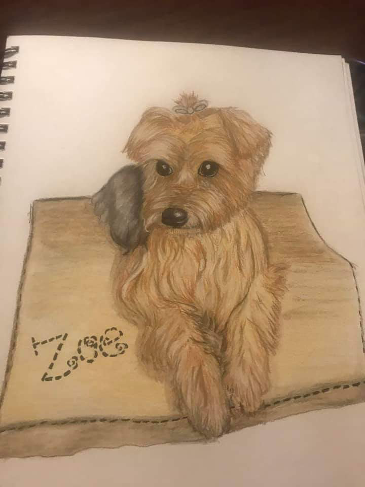 Custom multiple pet portrait