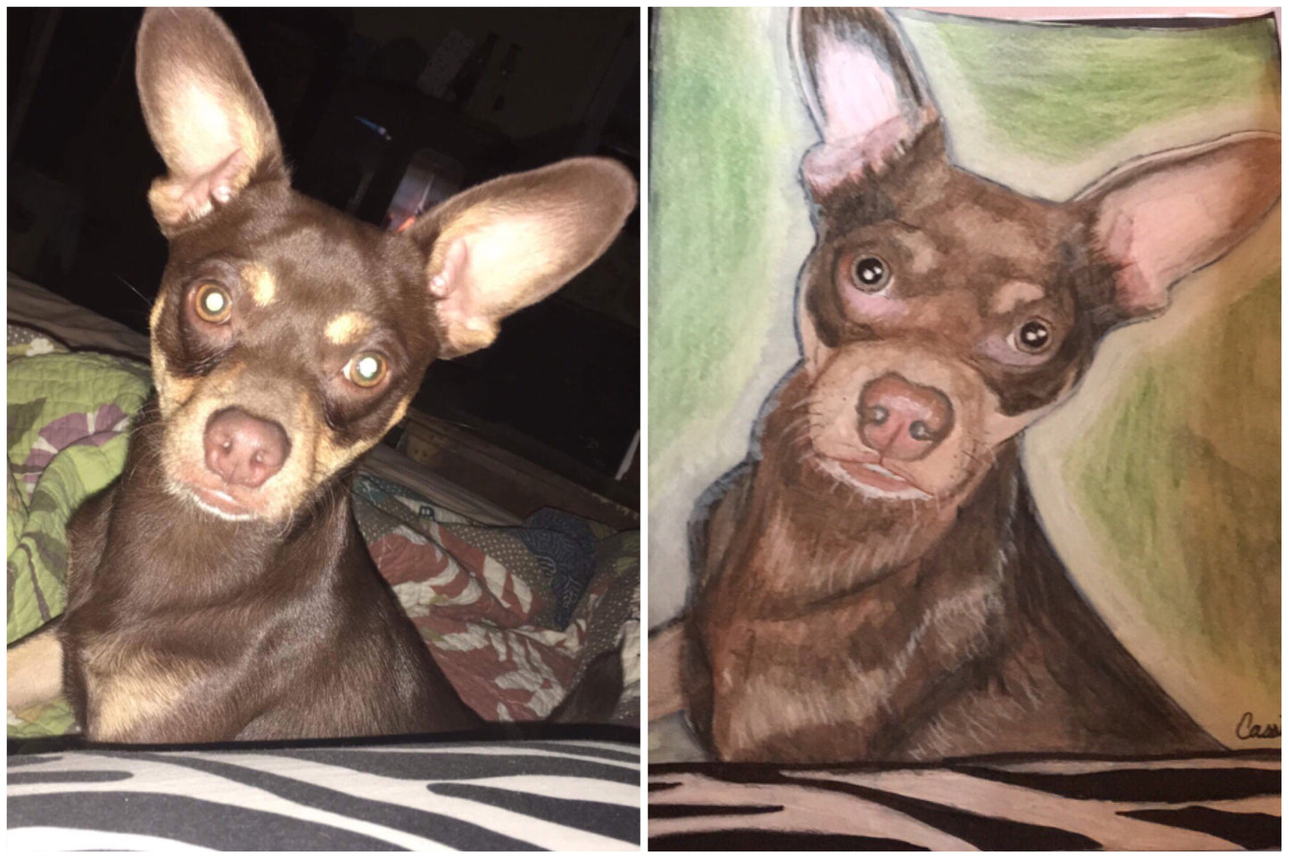 Custom multiple pet portrait