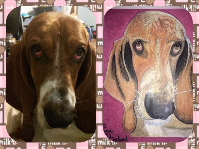 Custom multiple pet portrait