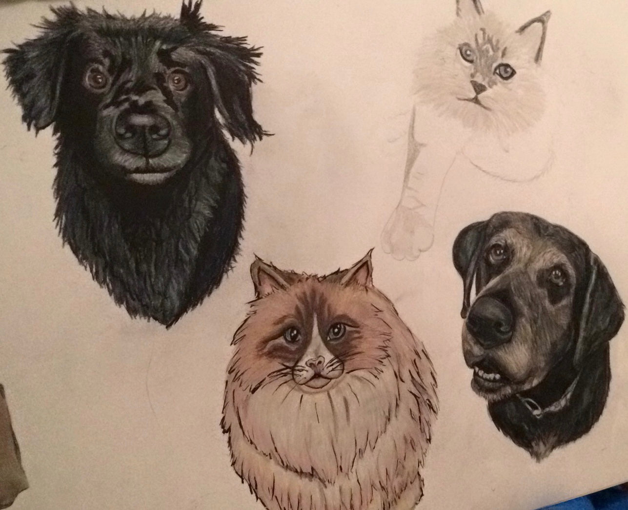 Custom multiple pet portrait