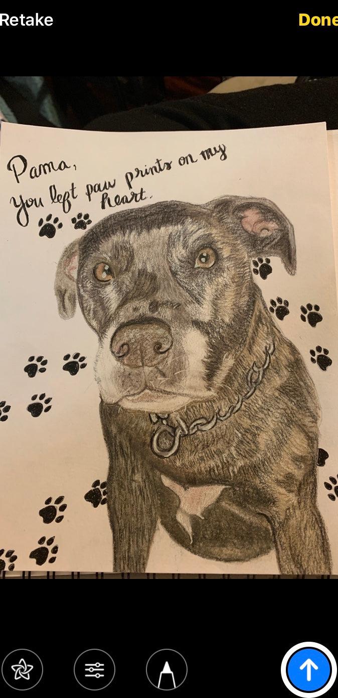 Custom multiple pet portrait