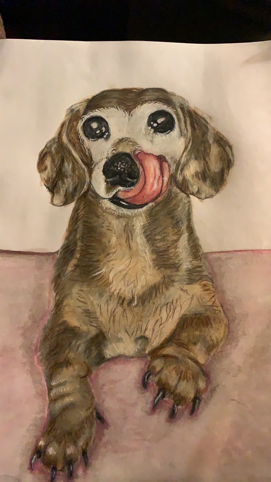 Custom multiple pet portrait