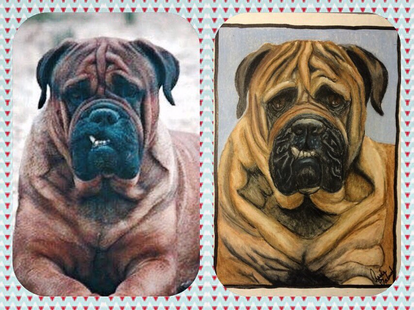 Custom multiple pet portrait