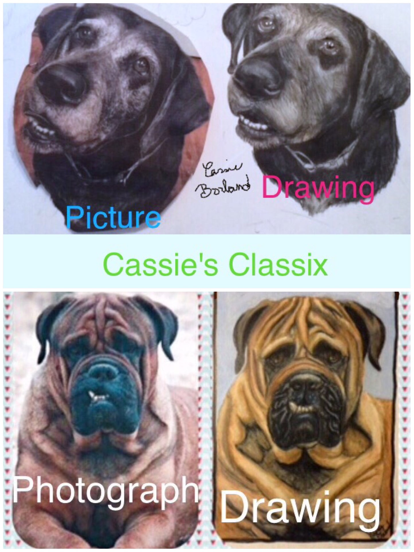 Custom Pet Portrait