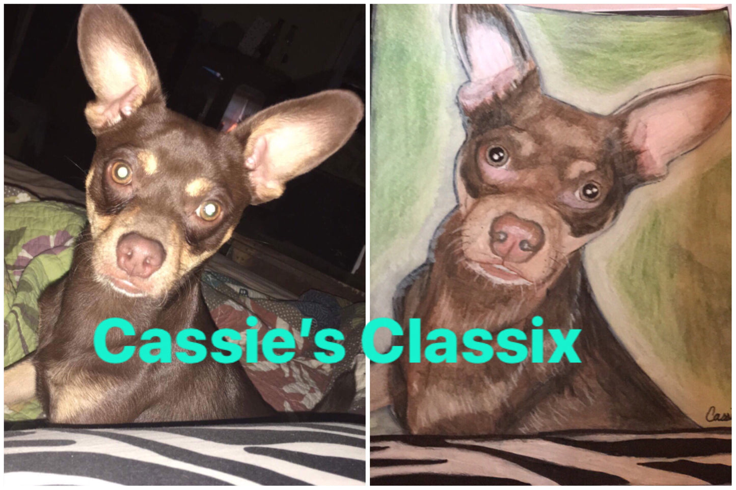 Custom Pet Portrait