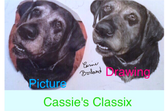 Custom Pet Portrait