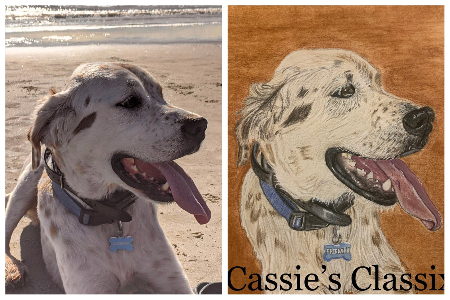 Custom Pet Portrait