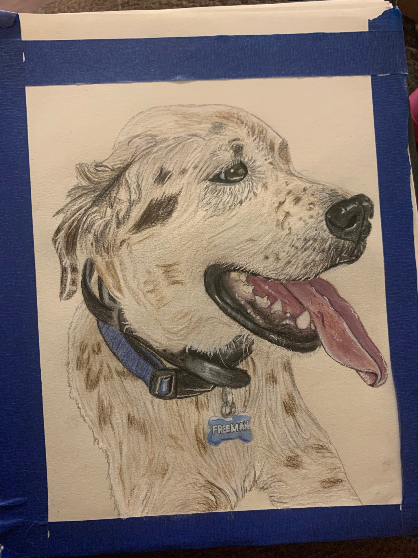 Custom Pet Portrait